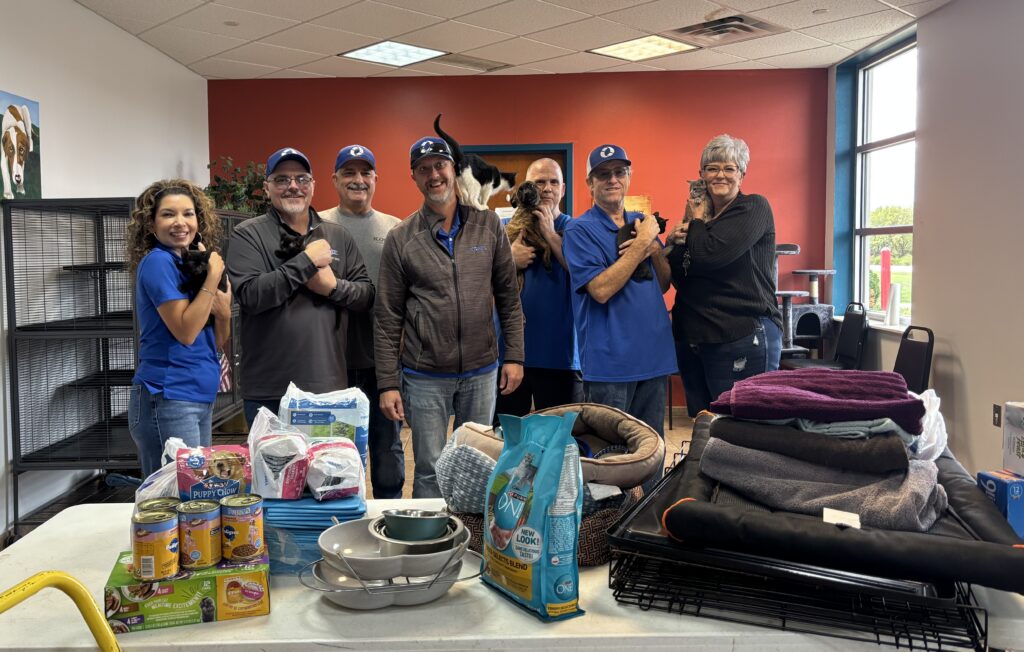 Iconex Joplin employees hold cats during their visit to the Joplin Humane Society.